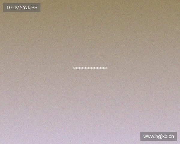 澳门新恒星集团发展历程与业务布局全面解析报告